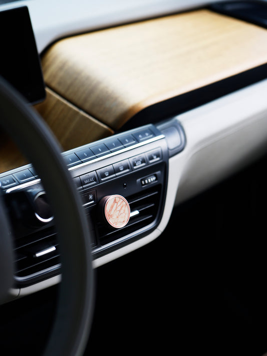 MARBLE SHE | Autodifuzér | mramor