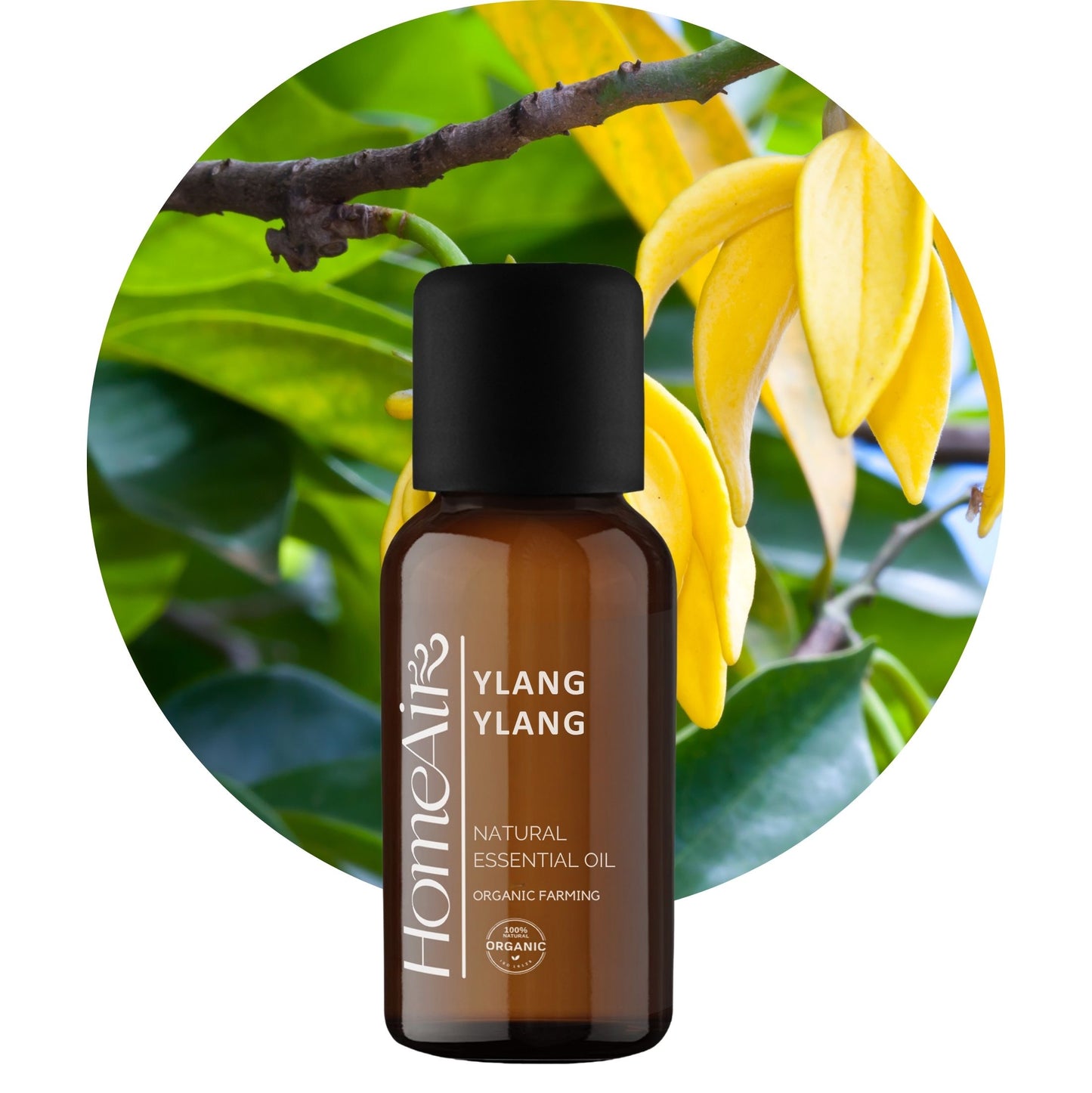 YLANG YLANG | prírodný esenciálny olej | BIO