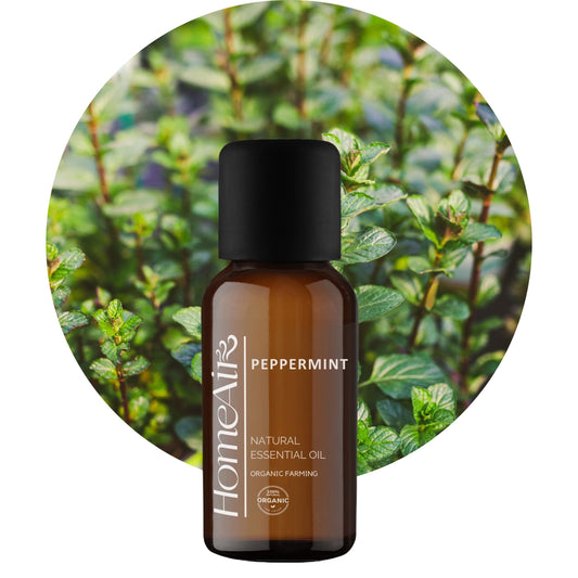 Spôsoby, ako sa zbaviť mravcov