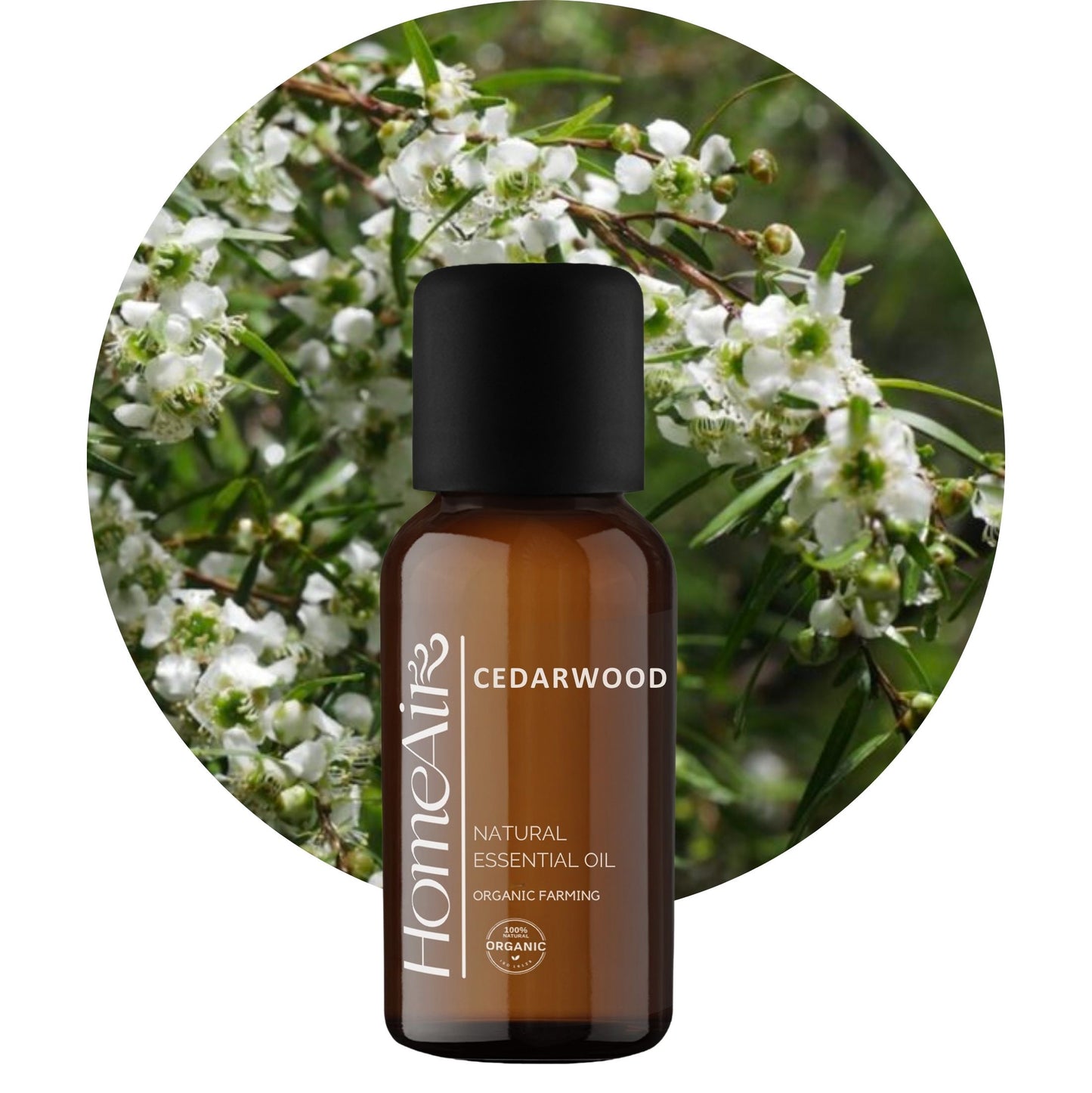 CÉDROVÉ DREVO | prírodný esenciálny olej | BIO