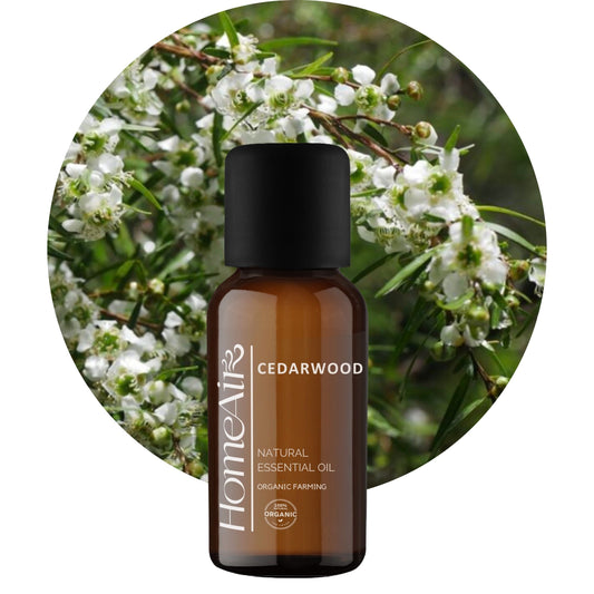 CÉDROVÉ DREVO | prírodný esenciálny olej | BIO