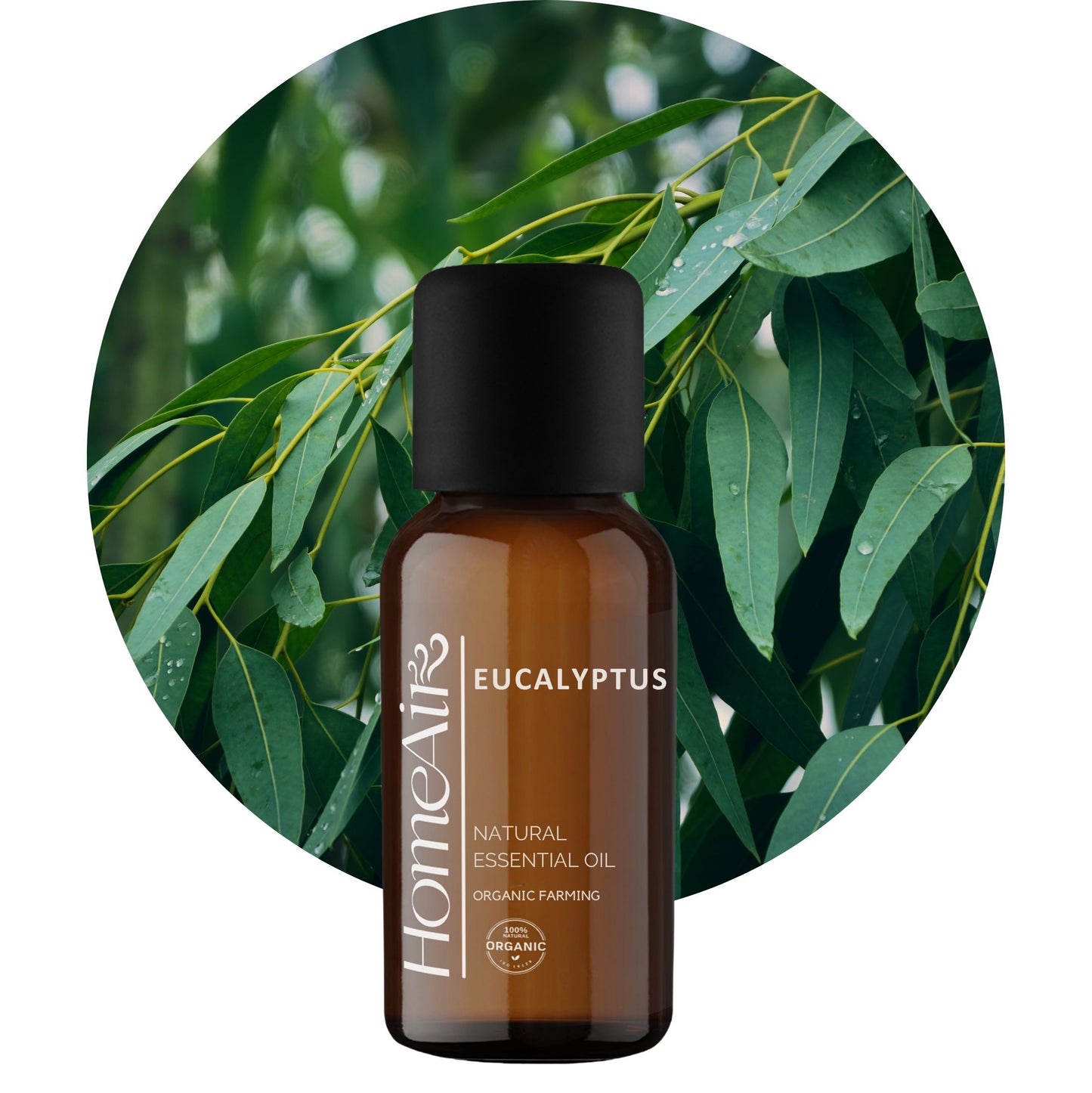 EUCALYPTUS | prírodný esenciálny olej | BIO