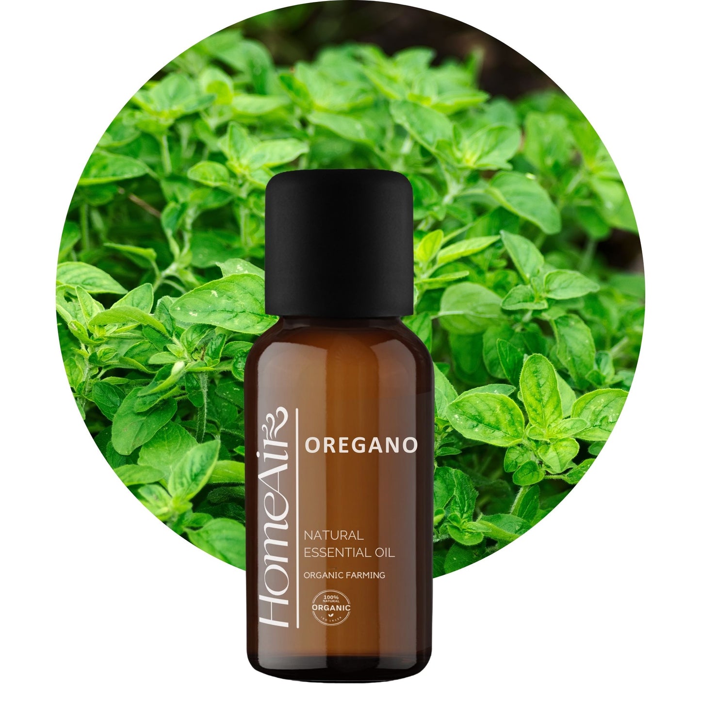 OREGANO | prírodný esenciálny olej