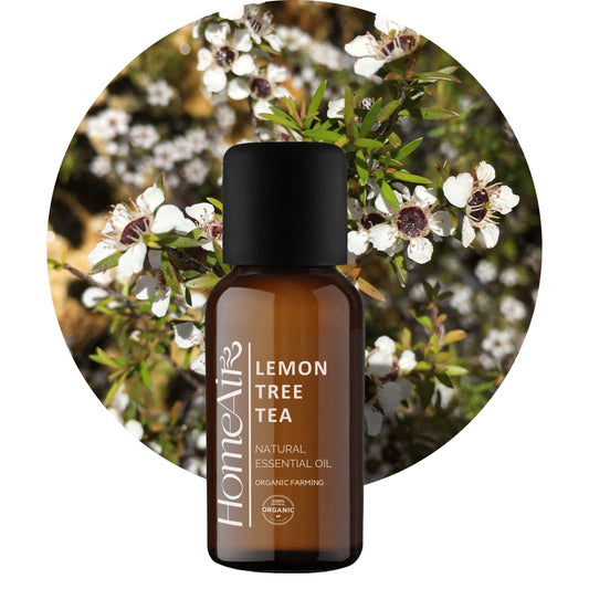 CITRÓNOVÝ ČAJOVNÍK | prírodný esenciálny olej | BIO